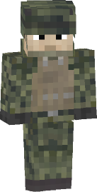 MrGrayTurtle