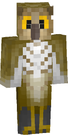 Owlbabby